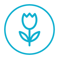 Spring Icon